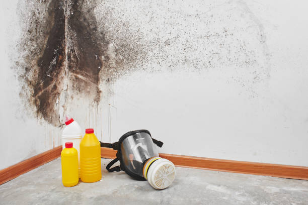 Jones, OK Mold Removal Company