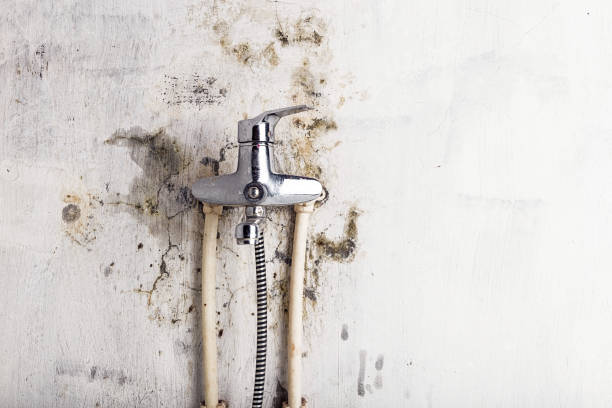 Best Water Damage Restoration  in Jones, OK