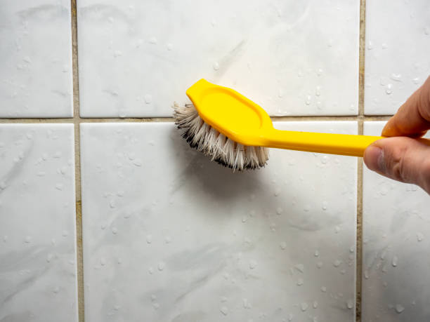 Best Affordable Mold Removal  in Jones, OK